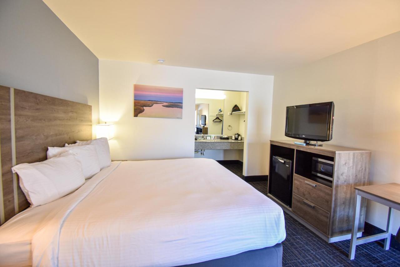 Standard King Room,1226276021:JPEG